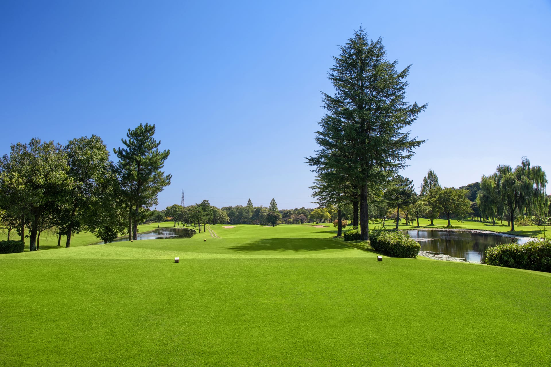 PGM Musashi Golf Club